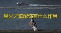 星火之歌配饰有什么作用